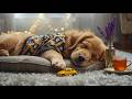 Healing Dog Music 🐶 3 Hours of Relaxing Music for Dogs | Separation Anxiety & Better Sleep #60