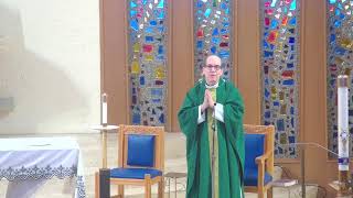 The Fourteenth Week in Ordinary Time (07/07/26)