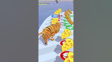 Cat Evolution Gameplay - Level 247 #shorts