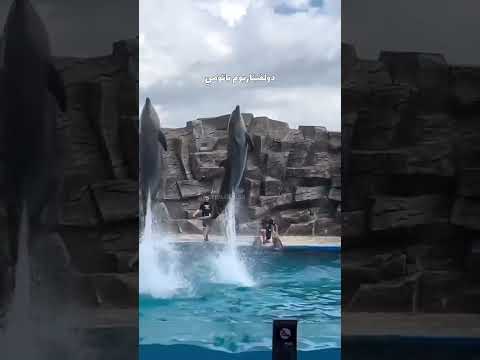 اهم الأماكن السياحية في باتومي جورجيا