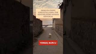 #yengeçburcu#yengecburcu#burç#burçlar#özgüven#yutubeshort#shortfeed#keşfetol#newpost#fypシ゚viral#fypシ