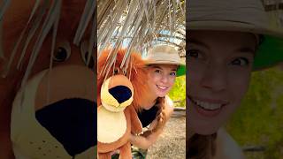 Camino por la selva con #lulipampin #entretenimiento #cantajuegos #paraniños #cancionesinfantiles