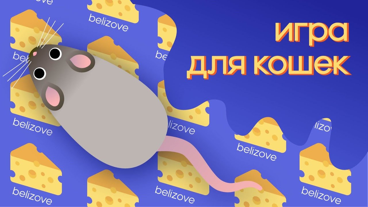 cat games - catching mice | развлекающий мультик игра для кошек 🐈 мышь бегает по экрану и пищит 🐁