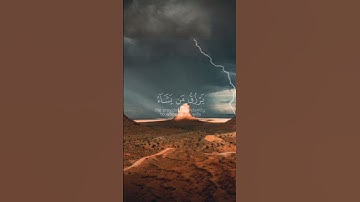 الله لطيف بعباده 🥀ياسر الدوسري تلاوة خاشعة القرآن الكريم