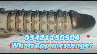 dragon silicone condom Soft 03421150304 screenshot 1