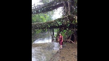 |Double decker living root bridge|at Nongriat village|Cherrapunji| Meghalaya