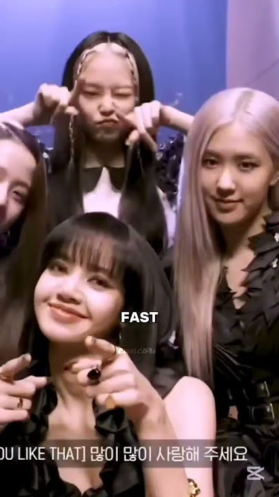 Is 'Deadline' Blackpink last tour together?