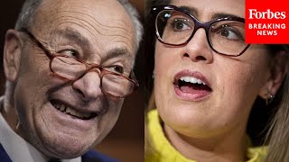 Schumer Asked Point Blank If He Would Support A Democrat Over Sinema In Potential Arizona Race