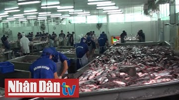 Xuất khẩu thủy sản sang Trung Quốc tăng mạnh
