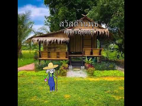  เพลงลูกทุ่ง วันพุธ