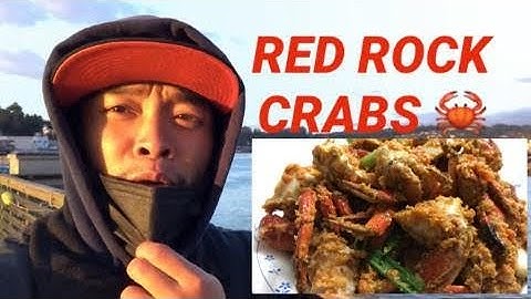 How To Go Crabbing in Oregon