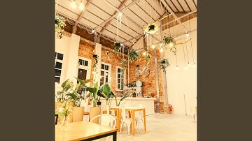 Carefree Moods for Java Vibes