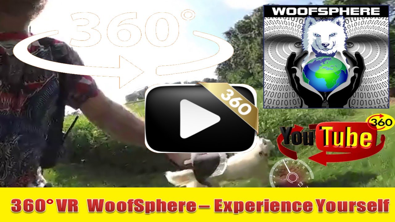 360 Videos | VR | Virtual Reality | WooFSphere | Husky Dog Racing Chase in 360