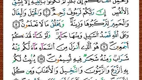 ختمة مصحف التجويد برواية قالون الصفحة رقم 268