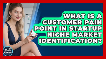 What Is A Customer Pain Point In Startup Niche Market Identification? - The Startup Growth Hub