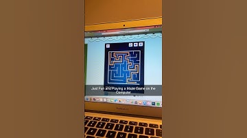 Just Fun and Playing a Maze Game on the Computer