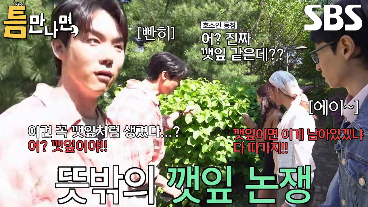 “아니 깻잎이에요!!!” 유연석×유재석, 깻잎과 비슷한 피나무로 시작된 깻잎 논쟁↗