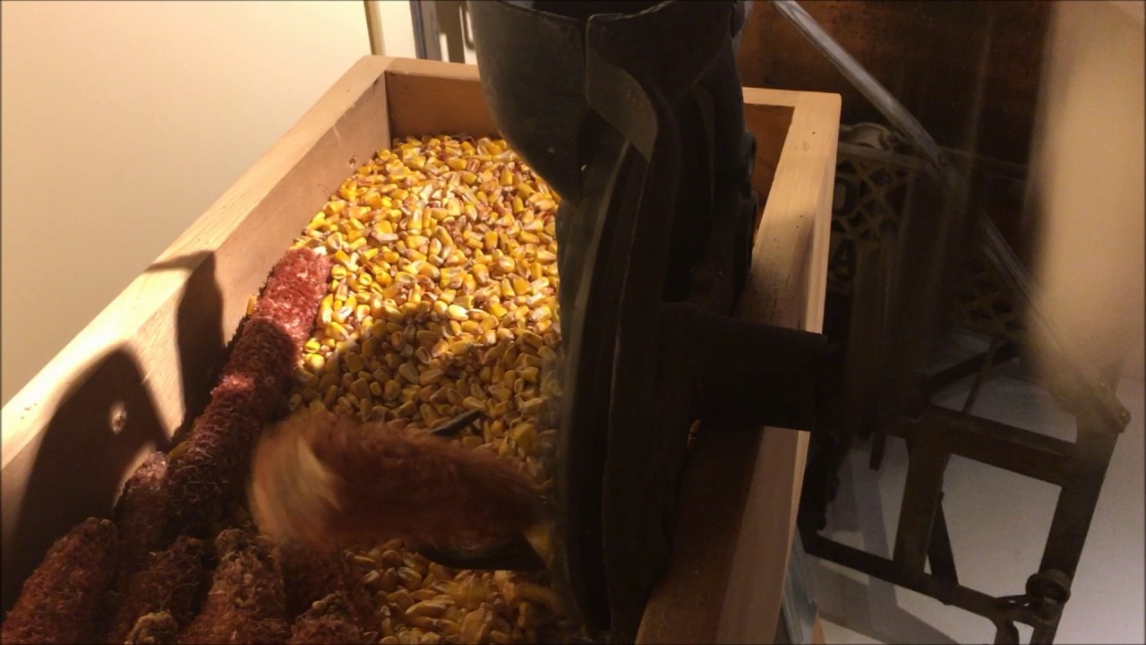 Erie Iron Works Black Hawk Corn Sheller