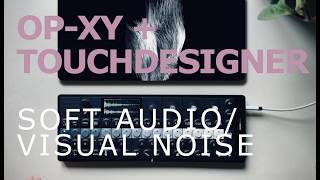 TE OP-XY SOFT GLITCHES AND TOUCH DESIGNER NOISE screenshot 1