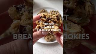 Celebrity Full recipe at https://basicswithbails.com/popular/cookies/gluten-free-oatmeal-breakfast-cookie/ Profile