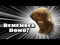 What happened to domo