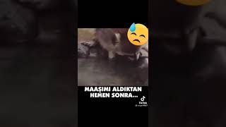 Maaş Nasıl Idareli Kullanılır