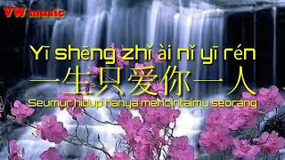 yi sheng zhi ai ni yi ren