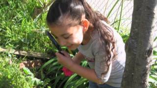 Junipero Serra School Gardening Program