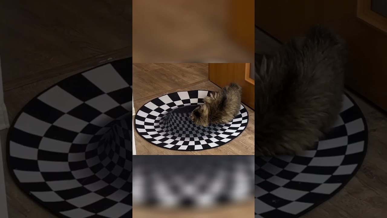 Puppy's Optical Illusion Magic Show! Plus the Tape Mission! 