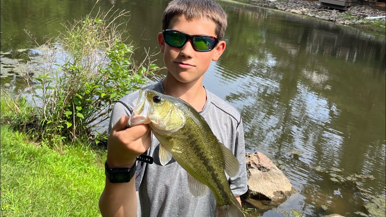 Summer Bass Fishing