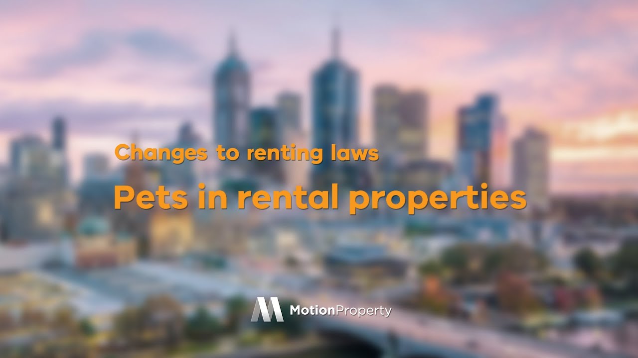 Pets In Rental Properties YouTube