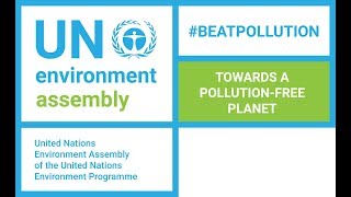 UN ENVIRONMENT: LEADERSHIP DIALOGUES