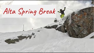 Spring Break Skiing at Alta