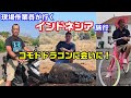 コモドドラゴンに会いたくてインドネシア旅行 / 現場作業員の休日