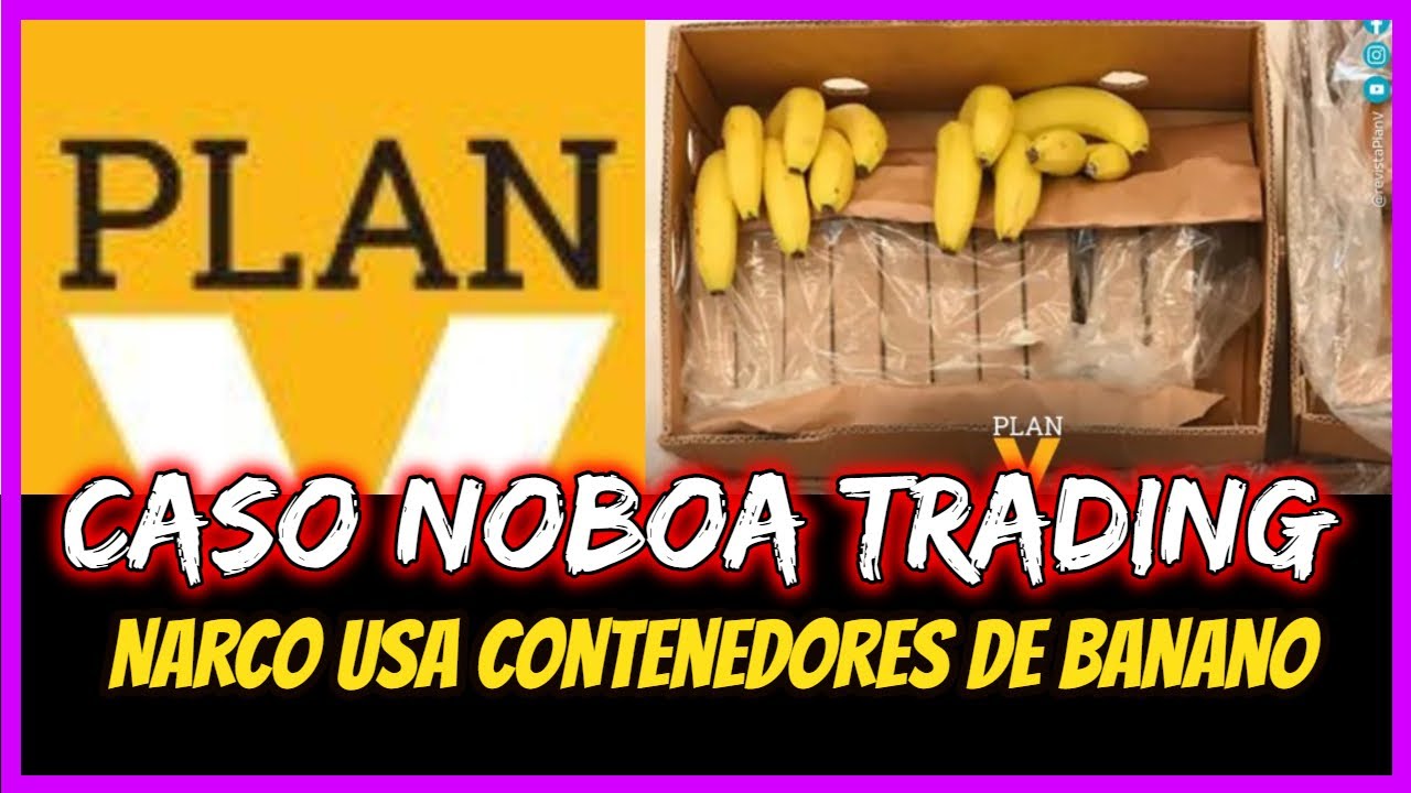 Caso Noboa Trading  Narco usa contenedores de banano