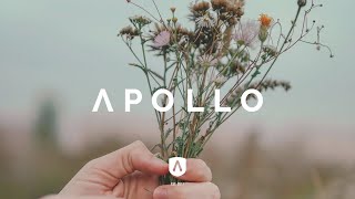 NAIM - Let it flow @APOLLOmusicOfficial