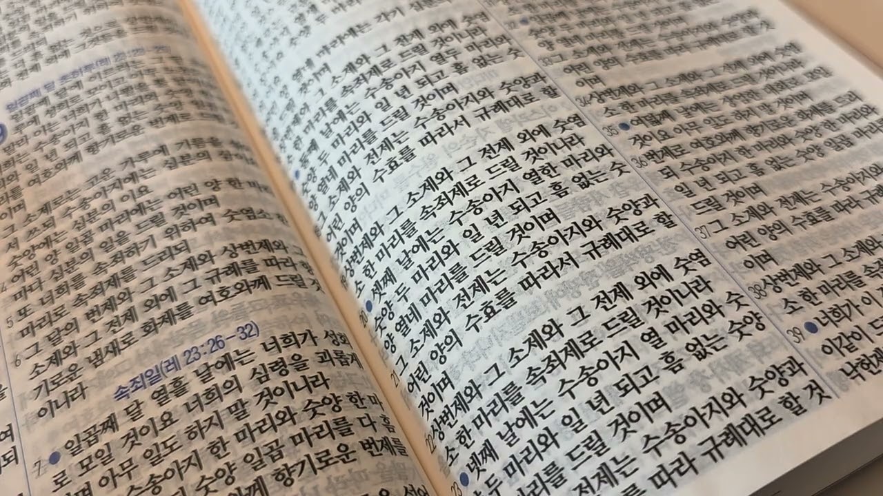 [민수기] 28장-30장