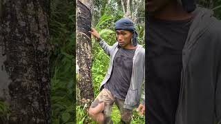 Maoni Tao Nga Dile Gusto Ma Bongkag. Iyang Pamilyakay Bisan Naay Sakit Naningkamot