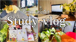 Winter study vlog Nuwaraeliya 🌨️🌲📚| පාඩම් වැඩත් එක්ක ගෙවුන සීතල දවසක්🪴#examstudyvlog #studyvlog