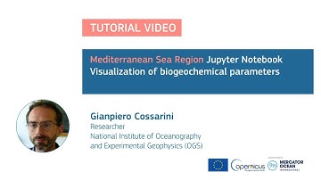 Jupyter Tutorial - Mediterranean Sea -Biogeochemical parameters