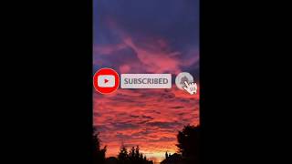 HOW TO GET TIKTOK FREE FOLLOWERS NO VERIFICATION!!!! screenshot 3