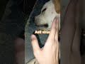 anti virus # #trendingsong #trendingshorts #youtubeshortsvideo #funnycomedyvideoes #followformore #