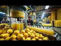 Inside a $10 Million Lemon Juice Factory | Mass Production Process