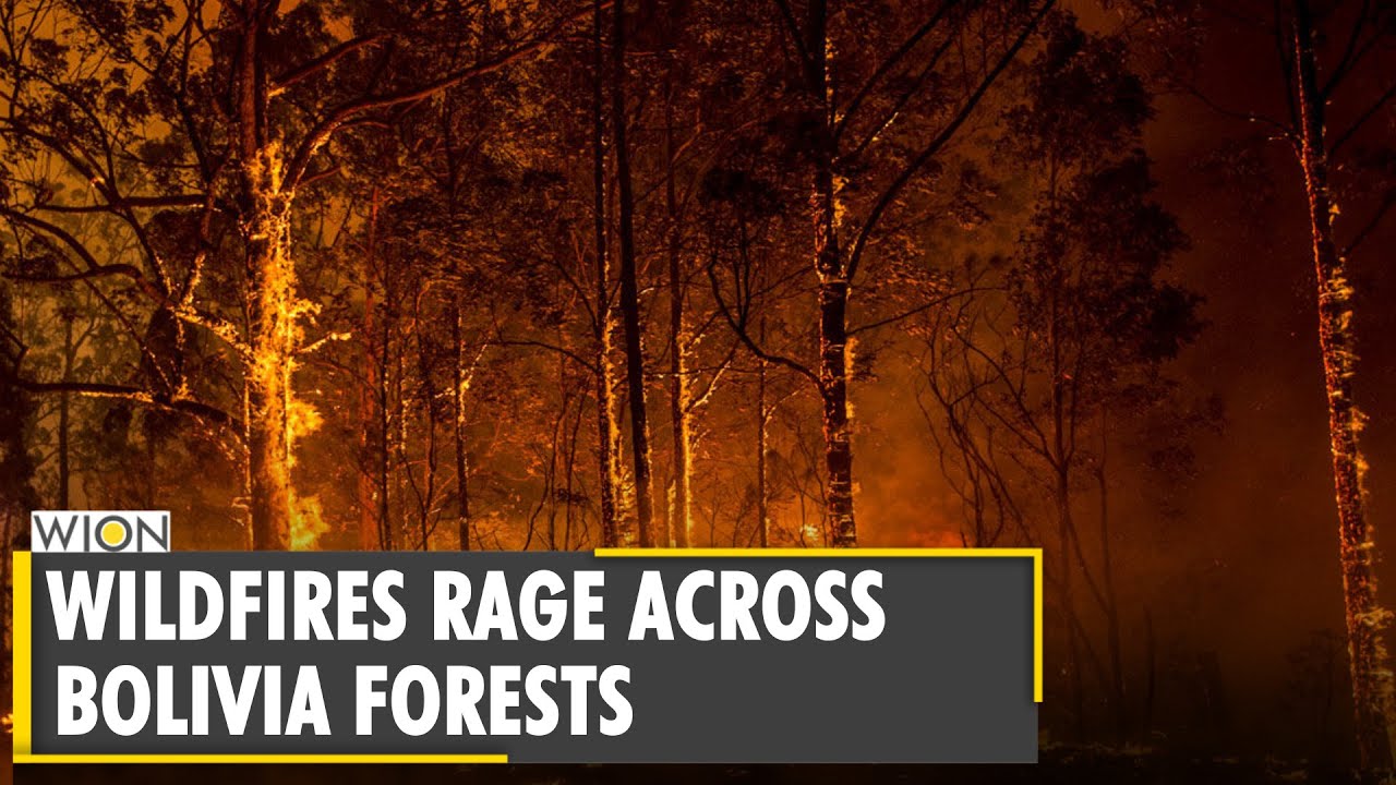 Wildfires sweep across Bolivia's Pantanal wetlands| Fight to douse flames still underway| World News