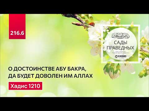 216.6 Сады праведных. Об обязательности выплаты закята и о достоинстве Абу Бакра. Хадис 1210