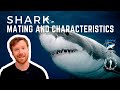 SHARK MATING &amp; characteristics - how can you tell a male from a female shark? and how do they mate?