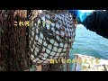 寄島のワタリガニ漁 ソワ根を攻めろ父ちゃん!の巻き その1『seabed trolling』 pass between stone of the sea floor 1