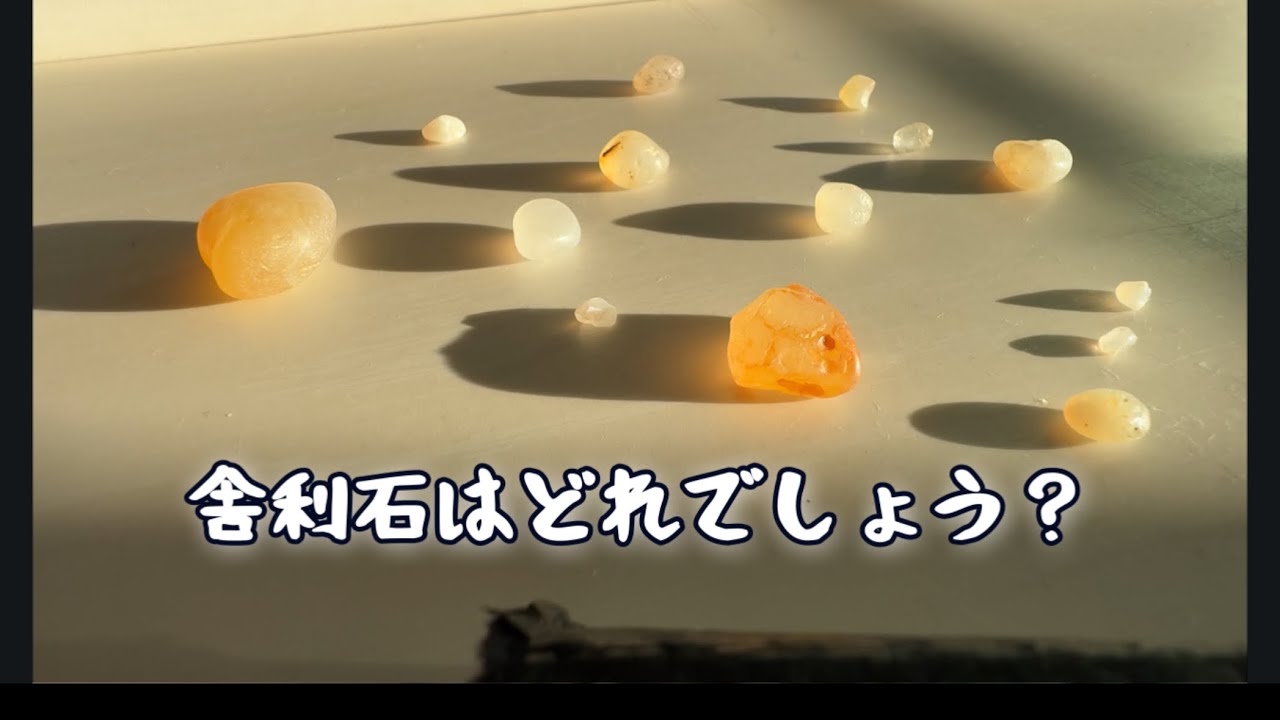 初めて拾った舎利石を、玉髄とじっくり見比べてみた