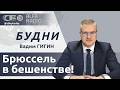 БУДНИ 08.05.2026. ПОЛНАЯ ВЕРСИЯ. Гигин: Беларусь готовится отметить День Победы