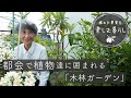 図書館館長のベランダガーデニング | 夫婦で営む小さな図書館の庭